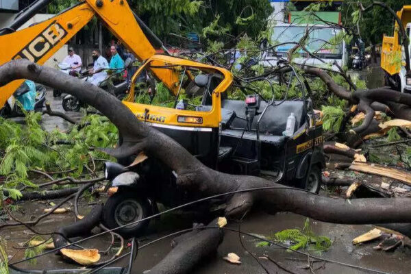 Tree falls on autorickshaw in Pune, 76-year-old traveller dies; 4 dead in Marathwada rain | Pune News