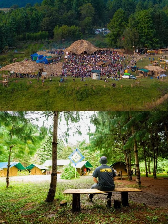 All You Need To Know About Ziro Music Festival 2025