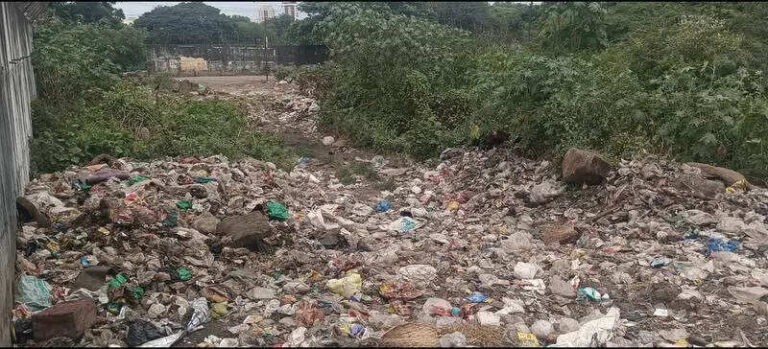 Garbage dumps heighten bird strike risks at Pune airport | Pune News