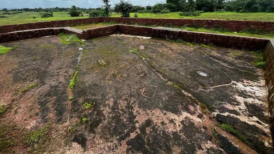 Konkan coast geoglyphs may be 24,000 years old, says state directorate of archaeology | Pune News