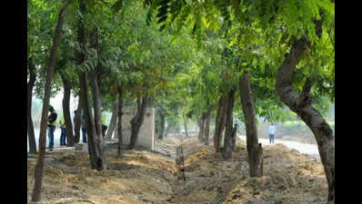 ‘2k trees may be impacted for Dwarka sports campus’ | Delhi News