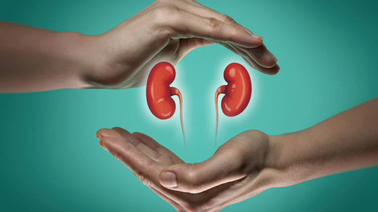 5 natural supplements to help lower creatinine levels in the body, and support kidney health