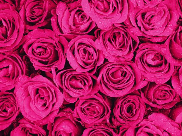 5 Vastu-approved flowering plants you must grow to attract luck and prosperity